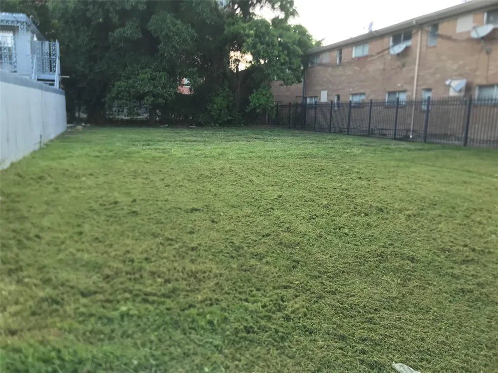 Canfield Street Houston, TX 77004