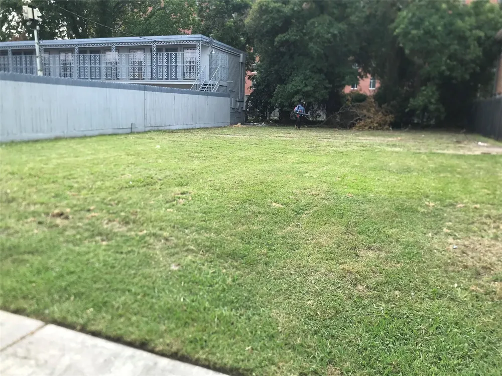 Canfield Street Houston, TX 77004