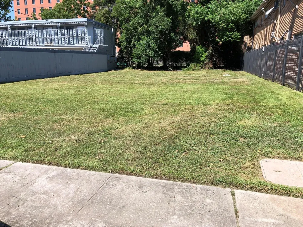 Canfield Street Houston, TX 77004