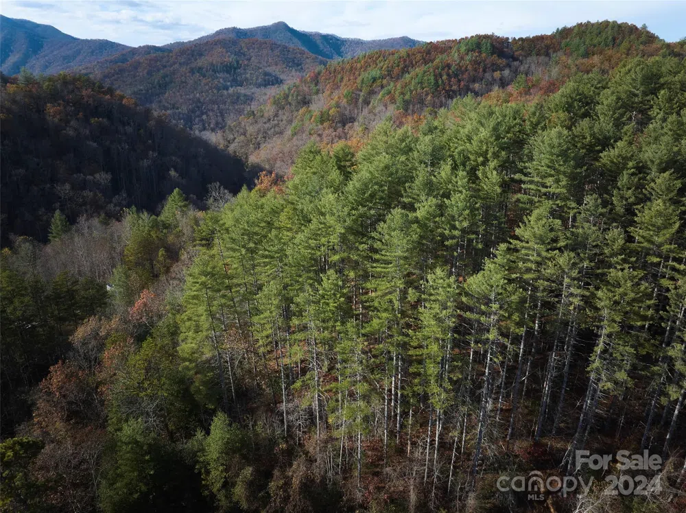 0 Sky Ridge Drive Bryson City, NC 28713