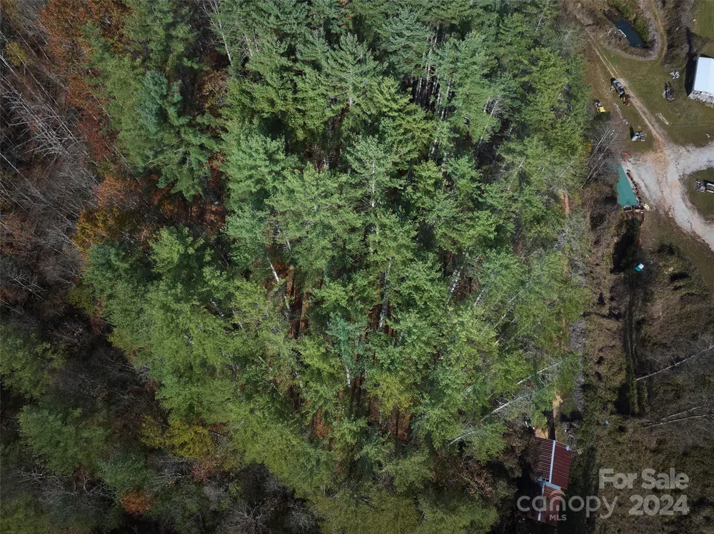 0 Sky Ridge Drive Bryson City, NC 28713
