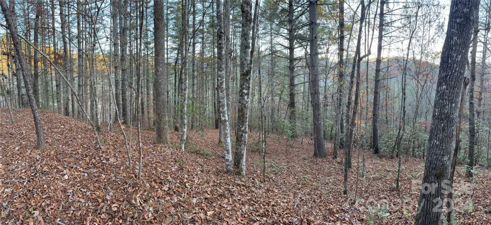 0 Sky Ridge Drive Bryson City, NC 28713