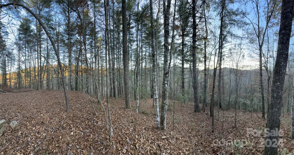 0 Sky Ridge Drive Bryson City, NC 28713