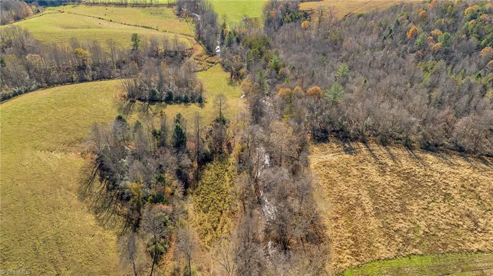 000 Austin Traphill Road Traphill, NC 28685