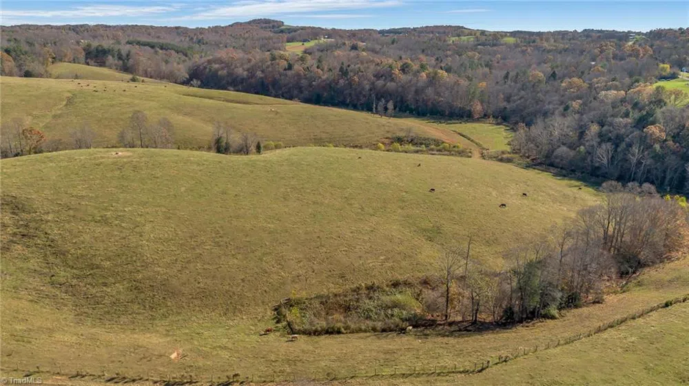 000 Austin Traphill Road Traphill, NC 28685