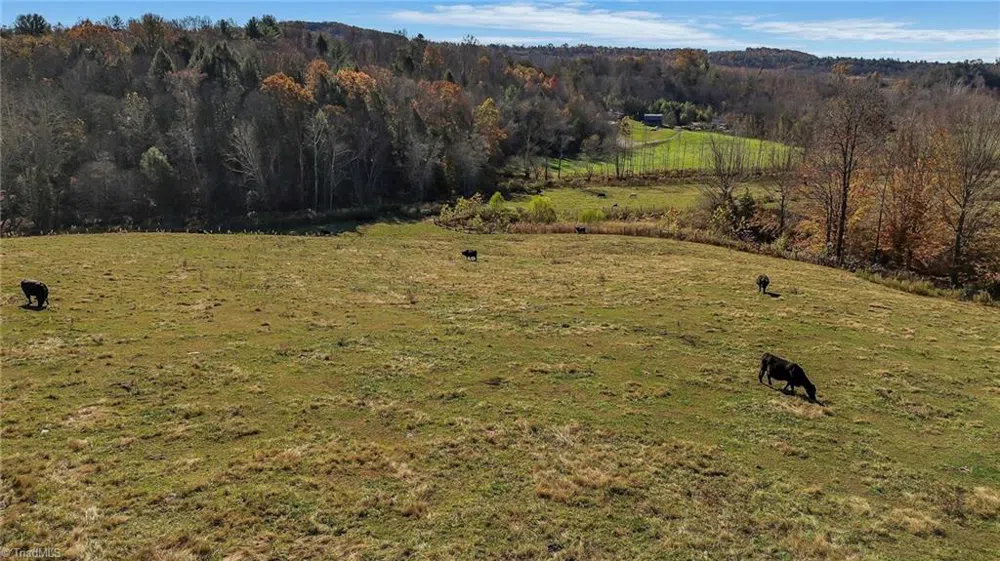 000 Austin Traphill Road Traphill, NC 28685