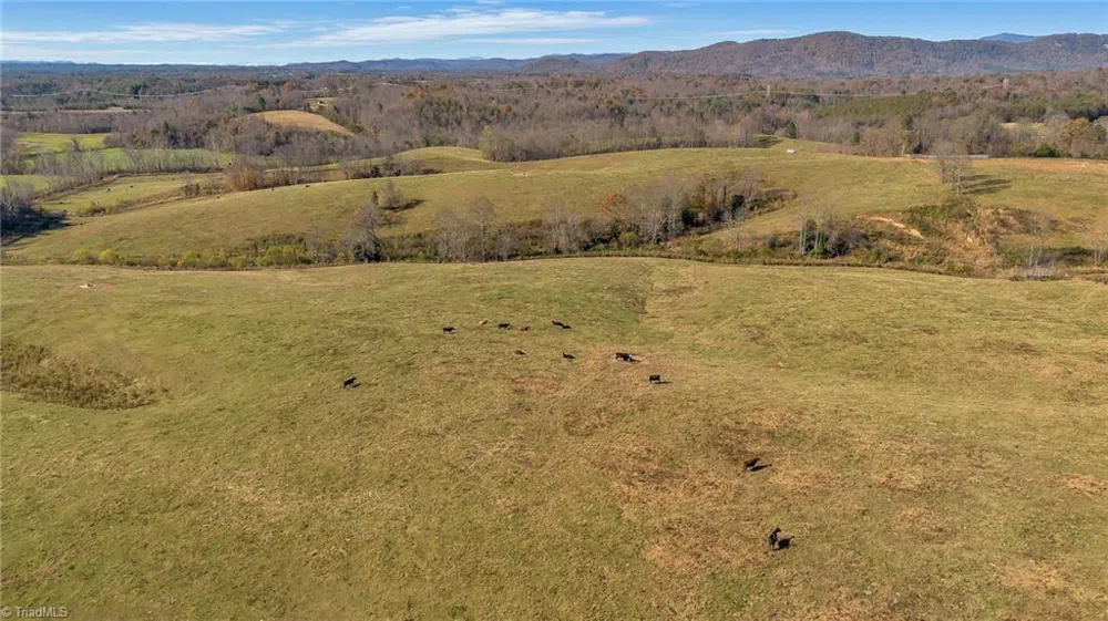 000 Austin Traphill Road Traphill, NC 28685