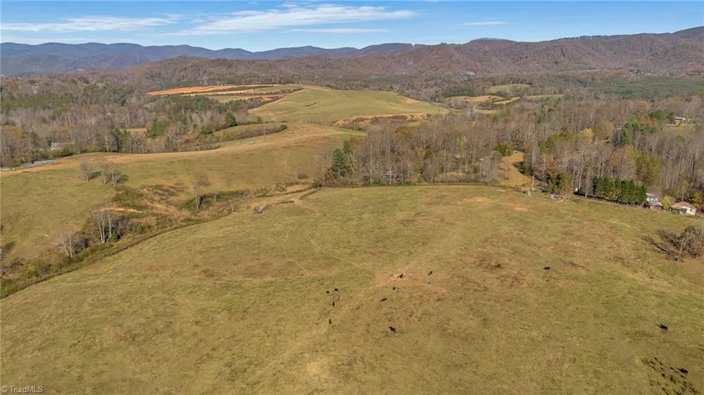 000 Austin Traphill Road Traphill, NC 28685