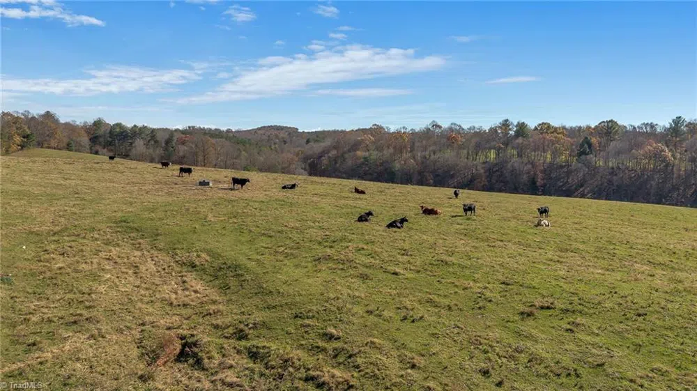 000 Austin Traphill Road Traphill, NC 28685