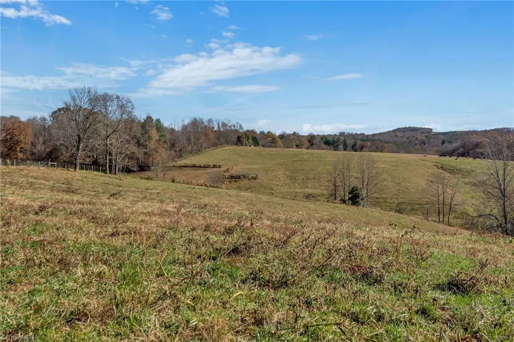 000 Austin Traphill Road Traphill, NC 28685