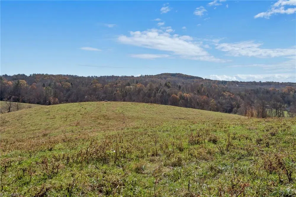 000 Austin Traphill Road Traphill, NC 28685