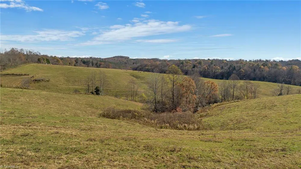 000 Austin Traphill Road Traphill, NC 28685