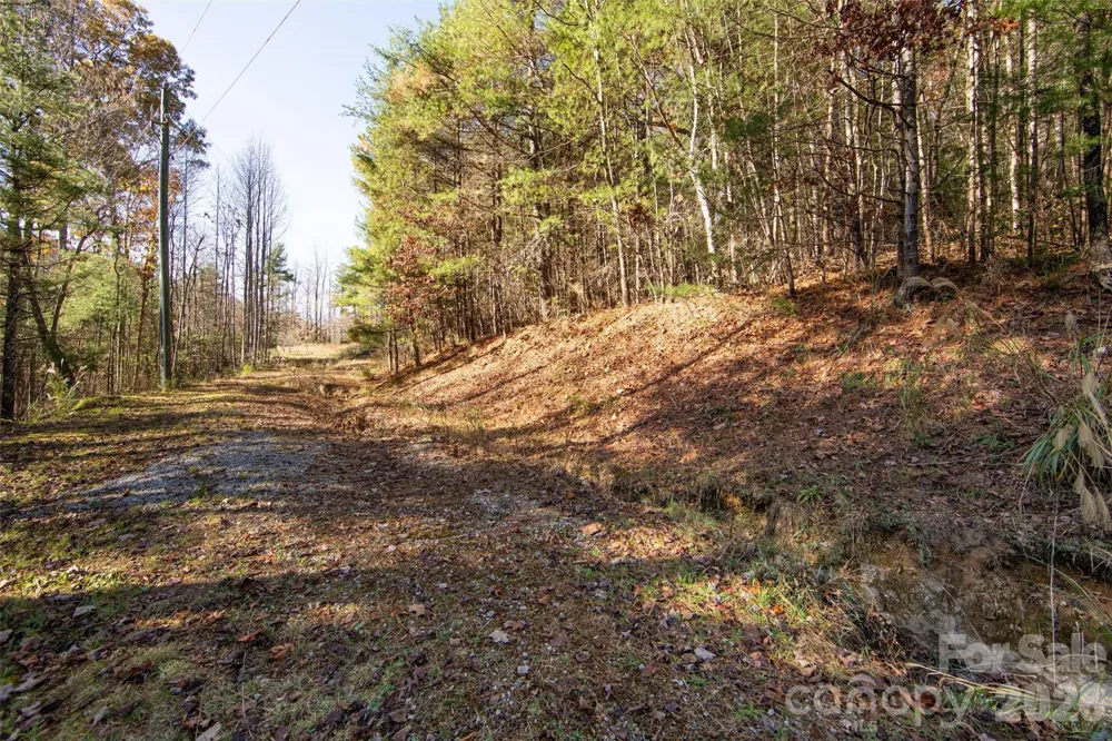 99999 Big Raven Lane Saluda, NC 28773