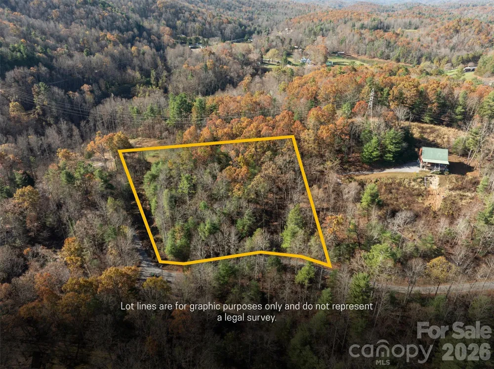 99999 Big Raven Lane Saluda, NC 28773
