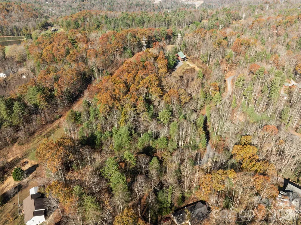 99999 Big Raven Lane Saluda, NC 28773