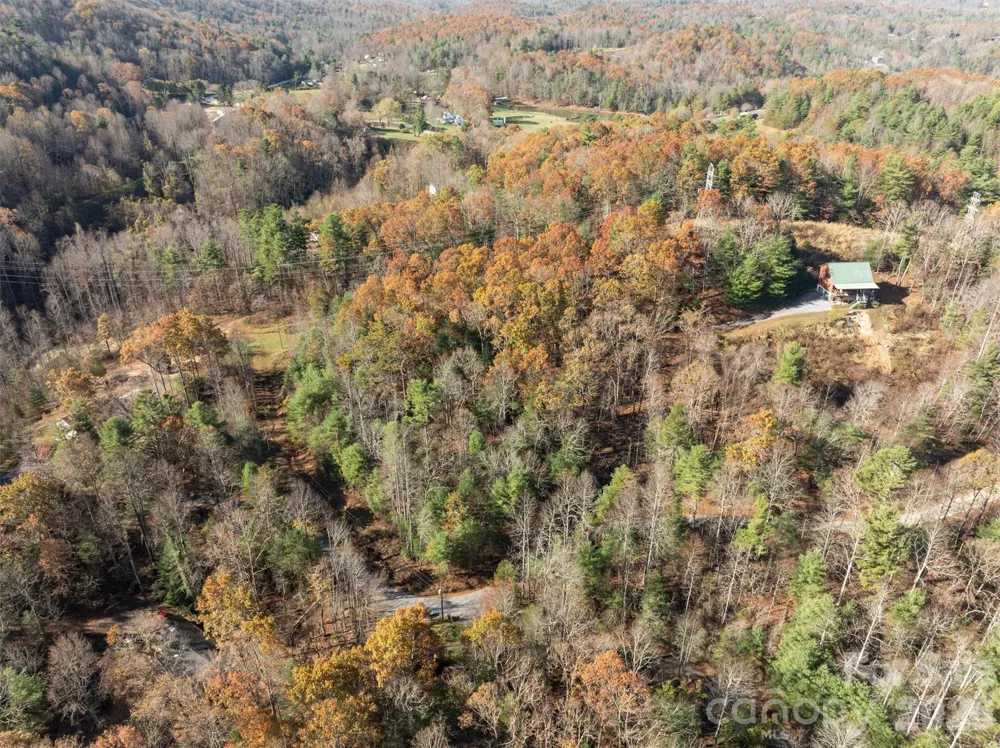 99999 Big Raven Lane Saluda, NC 28773