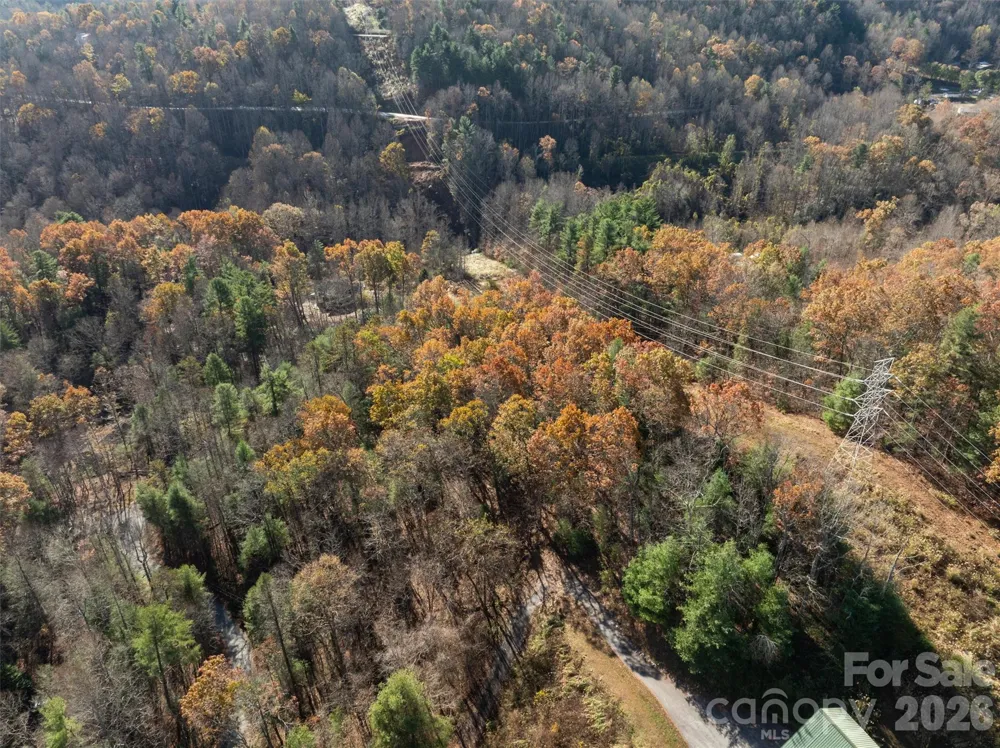 99999 Big Raven Lane Saluda, NC 28773
