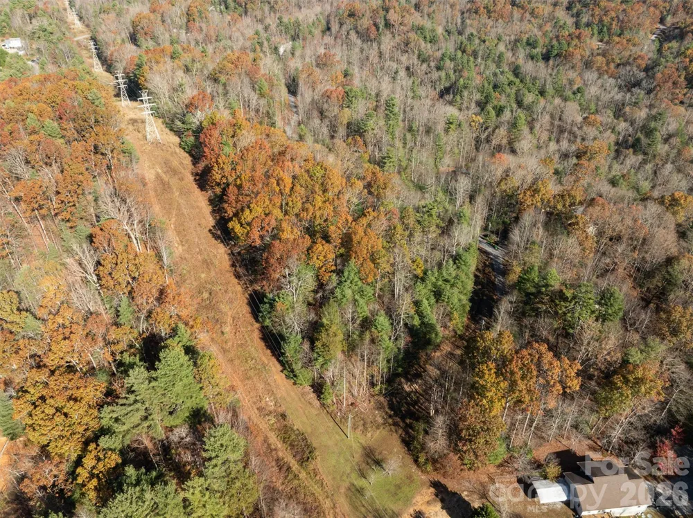 99999 Big Raven Lane Saluda, NC 28773