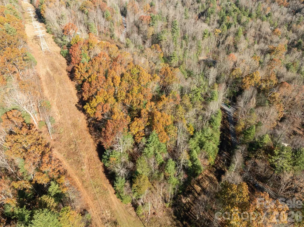 99999 Big Raven Lane Saluda, NC 28773