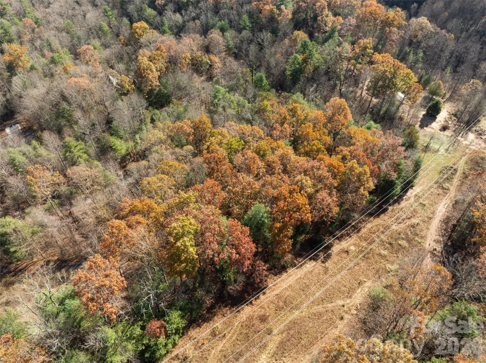 99999 Big Raven Lane Saluda, NC 28773