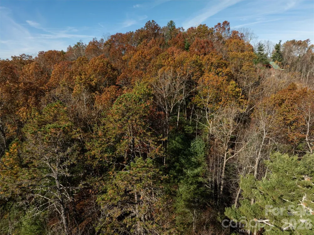 99999 Big Raven Lane Saluda, NC 28773