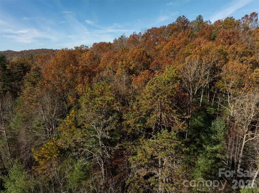 99999 Big Raven Lane Saluda, NC 28773