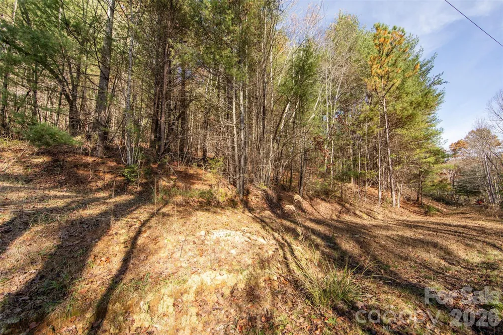 99999 Big Raven Lane Saluda, NC 28773