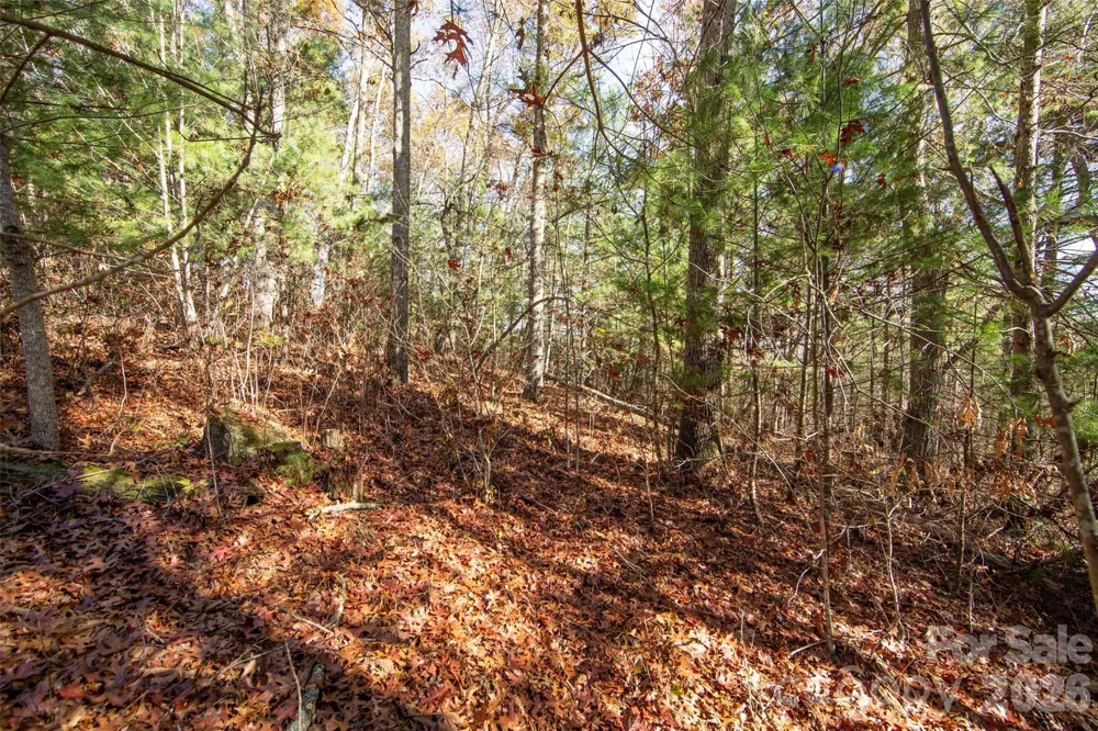 99999 Big Raven Lane Saluda, NC 28773
