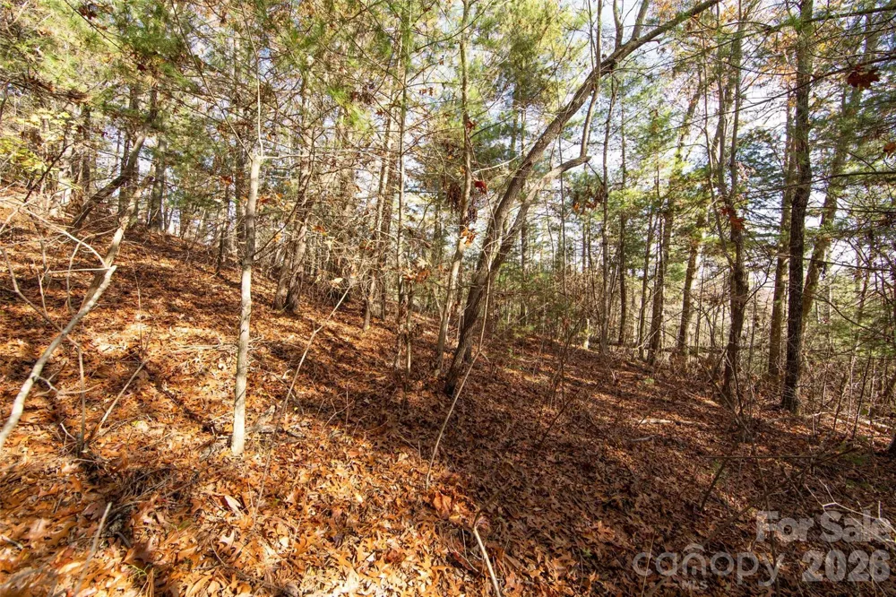 99999 Big Raven Lane Saluda, NC 28773
