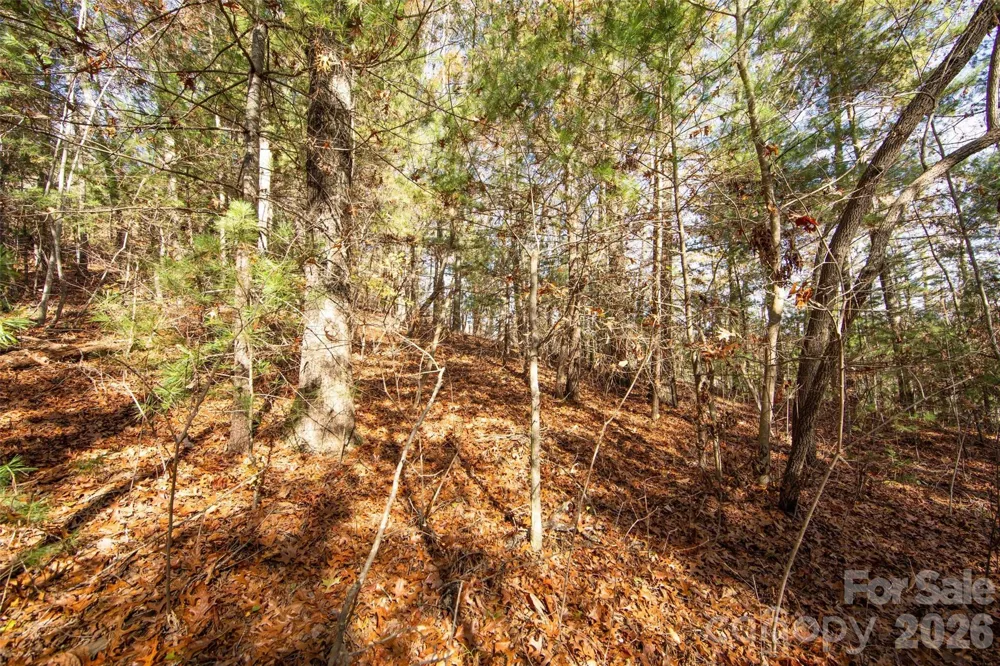 99999 Big Raven Lane Saluda, NC 28773