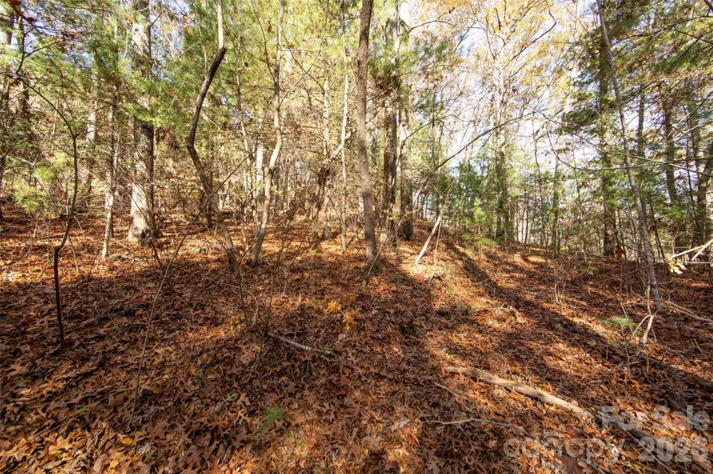 99999 Big Raven Lane Saluda, NC 28773