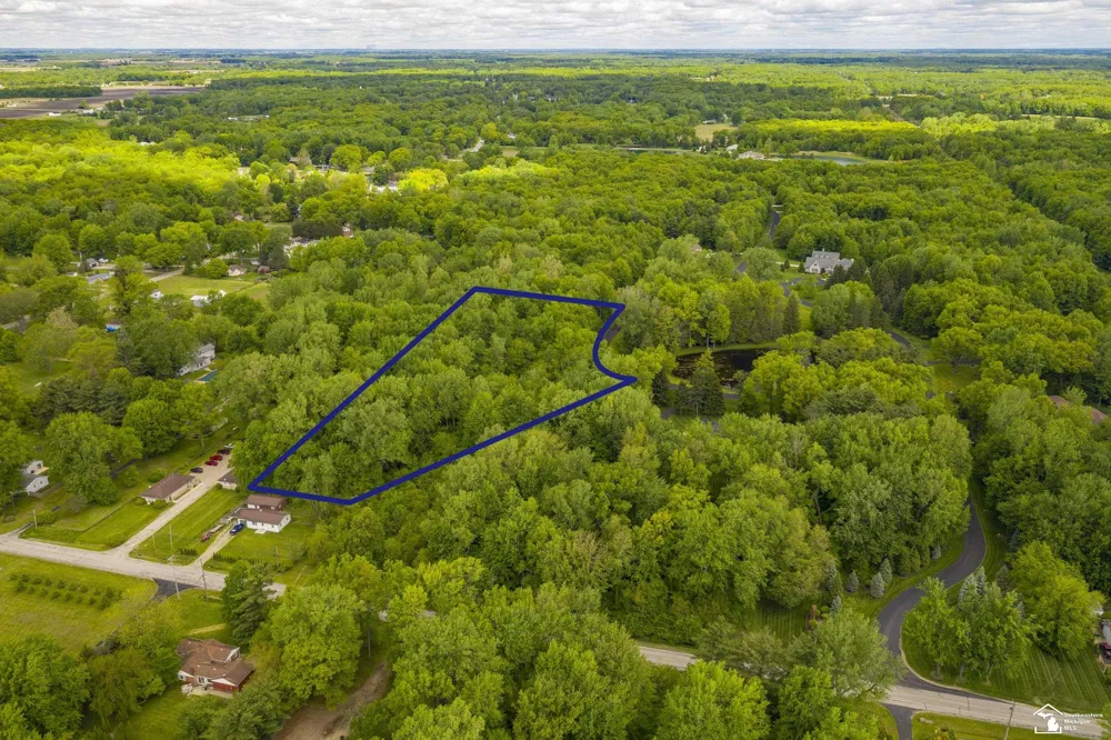 9107 Pine Forest Circle Bedford Township, MI 48144