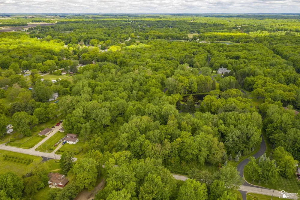 9107 Pine Forest Circle Bedford Township, MI 48144