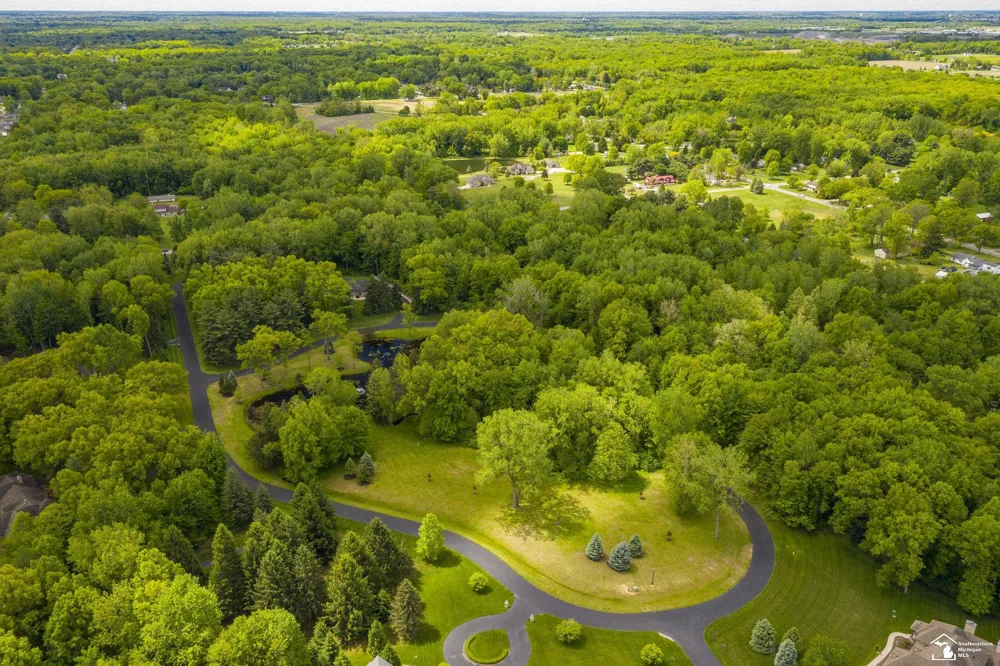 9107 Pine Forest Circle Bedford Township, MI 48144