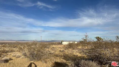 Inez Avenue