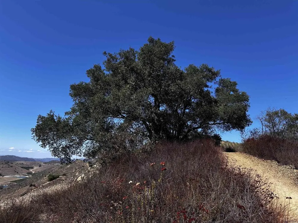 40 Oak Glen Road Valley Center, CA 92082