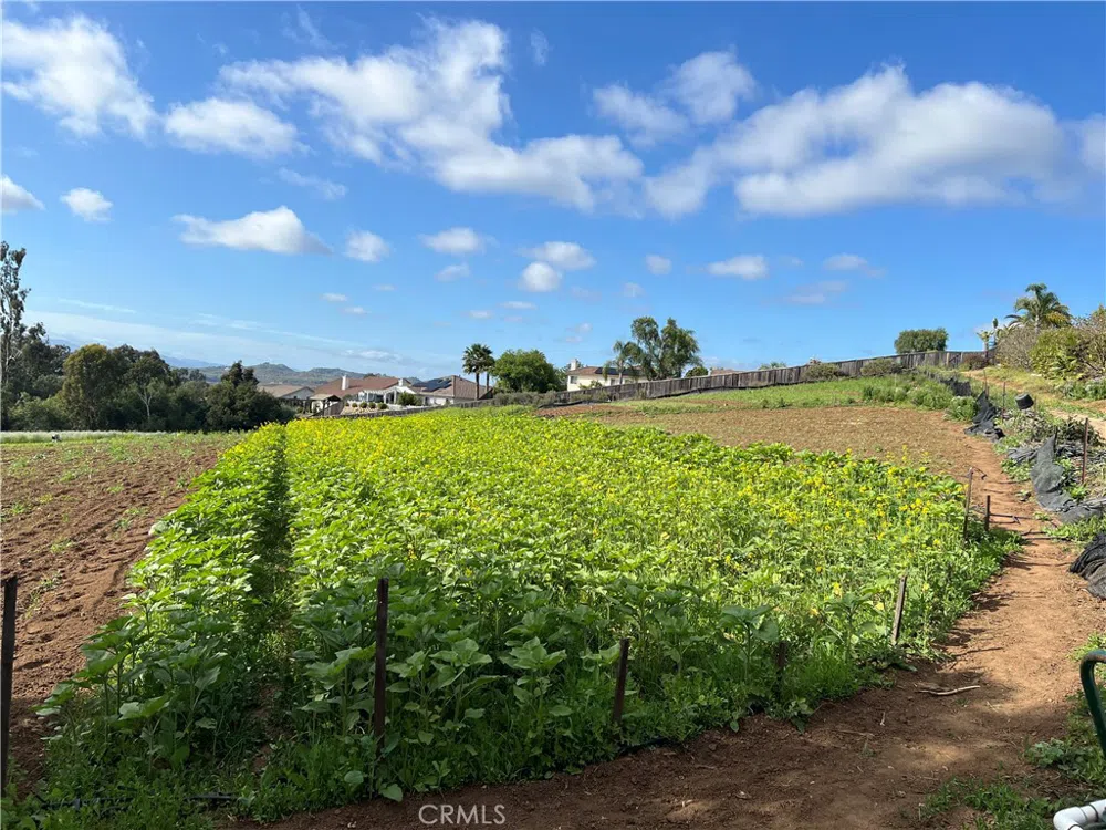 2205 Bautista Avenue Vista, CA 92084