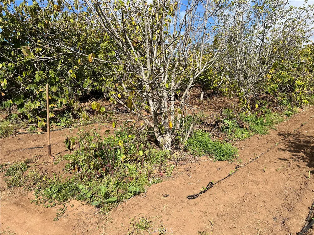2205 Bautista Avenue Vista, CA 92084