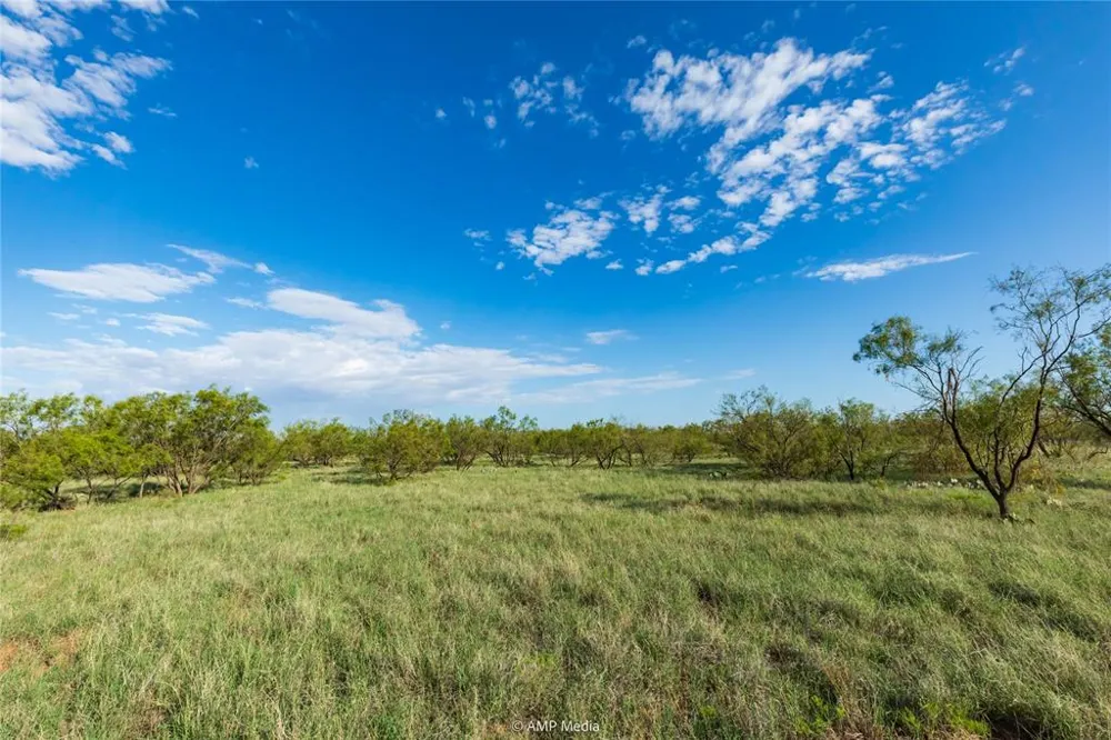 CR 252 Colorado City, TX 79512