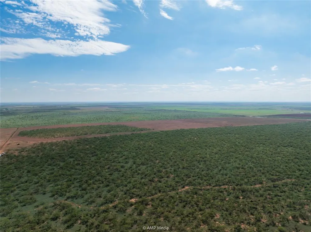 CR 252 Colorado City, TX 79512