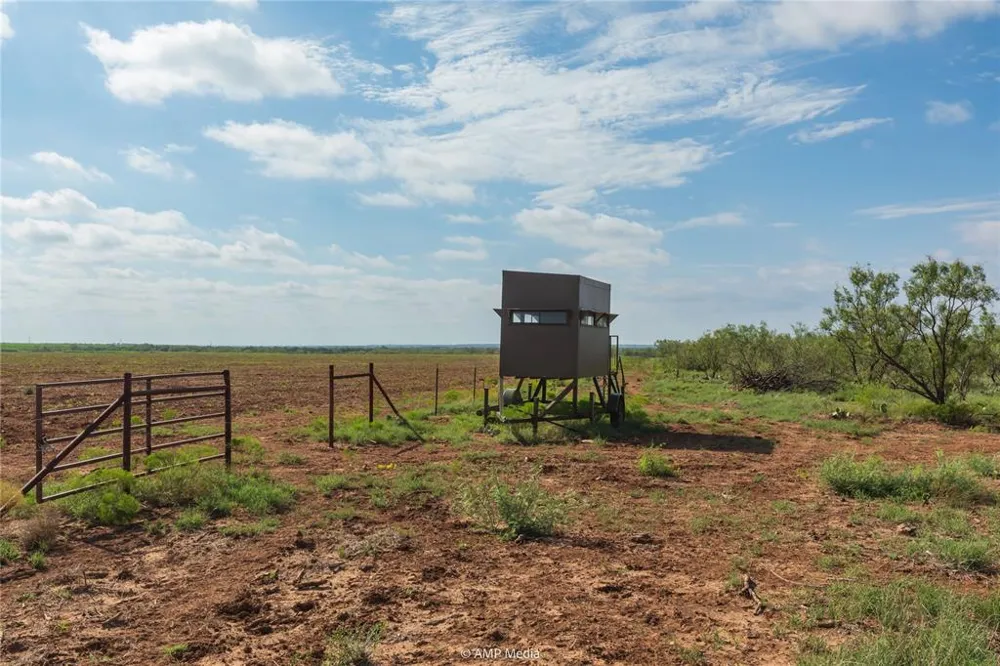 CR 252 Colorado City, TX 79512