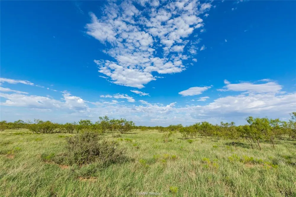 CR 252 Colorado City, TX 79512