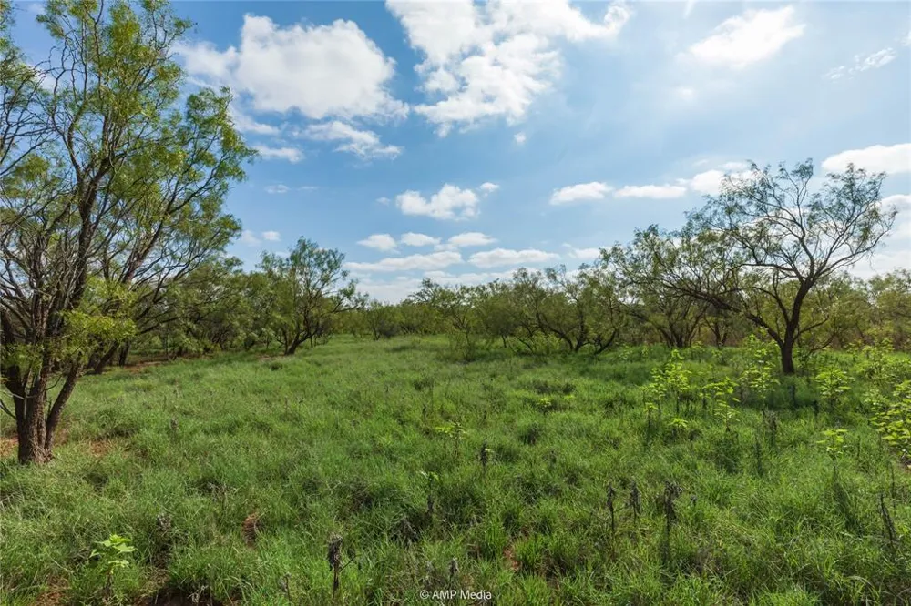 CR 252 Colorado City, TX 79512