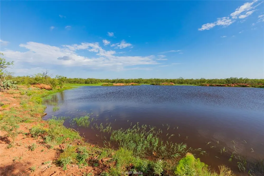CR 252 Colorado City, TX 79512