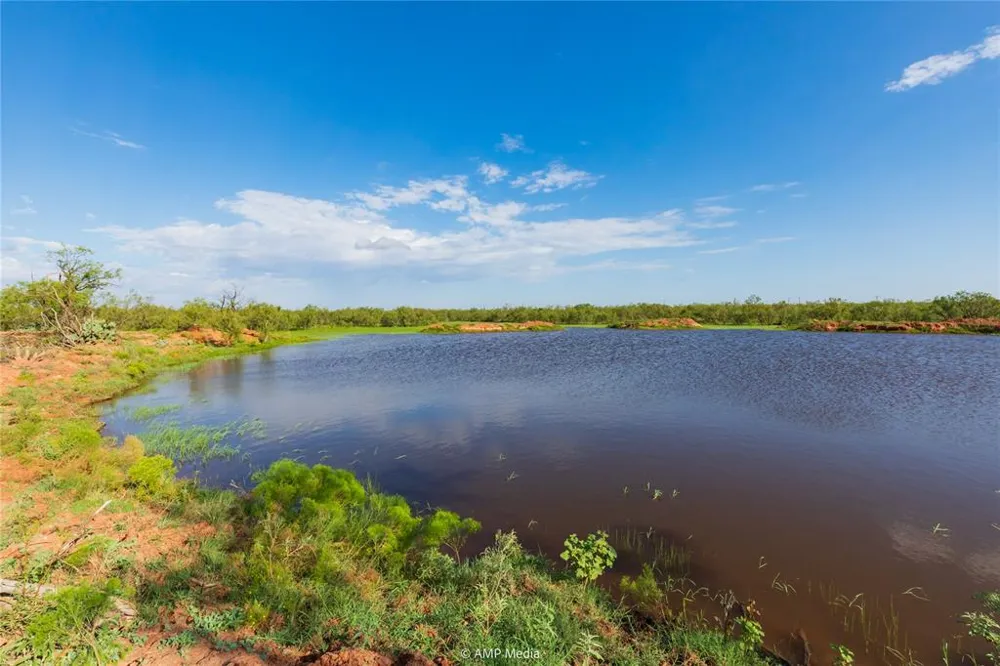 CR 252 Colorado City, TX 79512