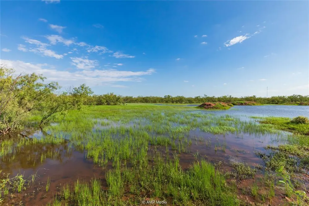 CR 252 Colorado City, TX 79512