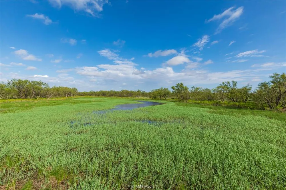 CR 252 Colorado City, TX 79512