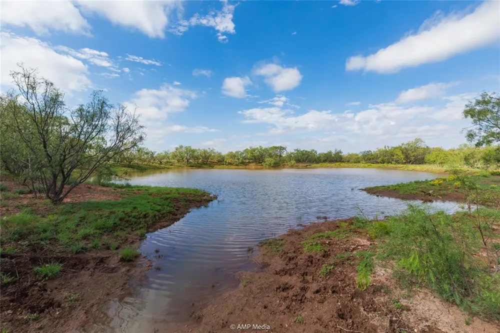 CR 252 Colorado City, TX 79512