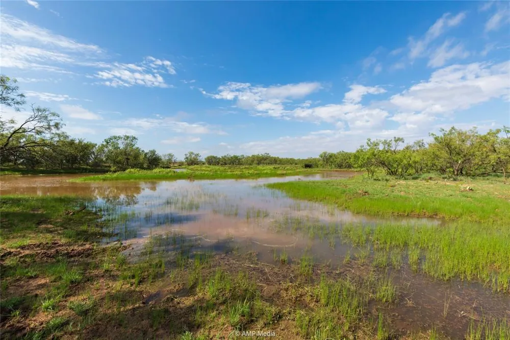 CR 252 Colorado City, TX 79512