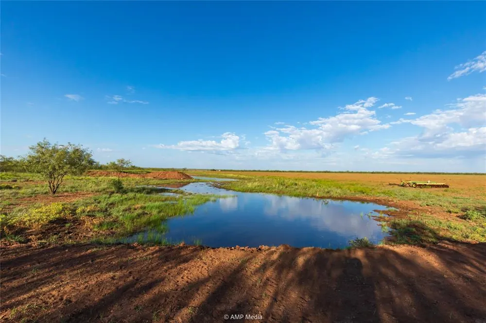 CR 252 Colorado City, TX 79512